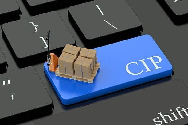 3D pallet with cargo on keyboard key labeled CIP, representing shipping and insurance term