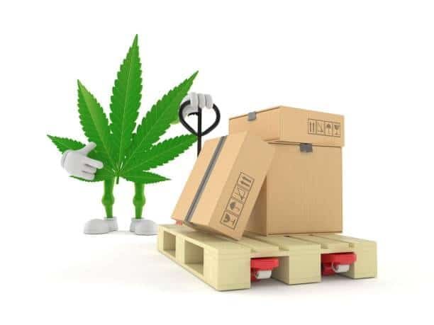 Cartoon cannabis leaf character with shipping boxes on a pallet, symbolic representation