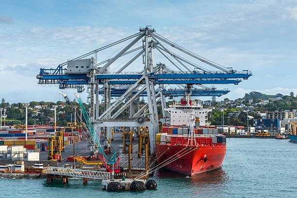 Cargo ship loading under cranes at a busy New Zealand port