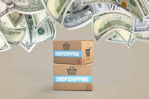 Money falling over boxes labeled dropshipping illustrating profitability of dropship business model