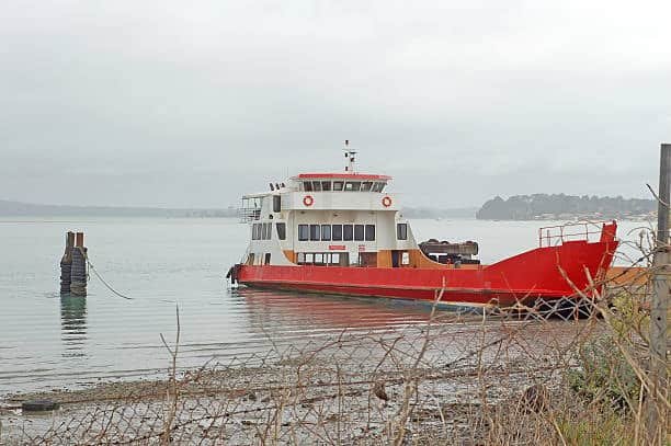 Cargo ferry at a quiet New Zealand harbor representing sea freight from the US
