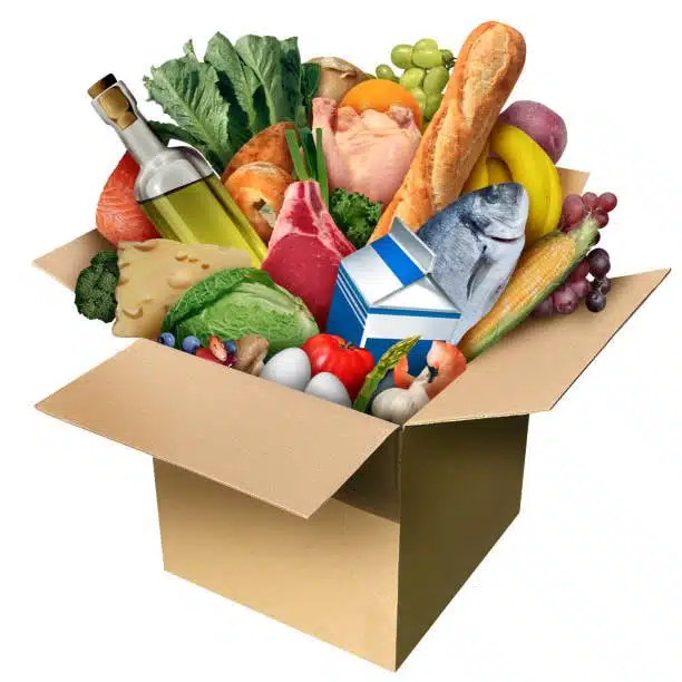 A wide variety of perishable food items like fish, vegetables, milk, and bread prepared for temperature-controlled shipping.