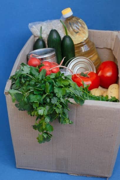 Mixed perishable groceries including fresh produce, cooking oil, and canned food prepared for transport.
