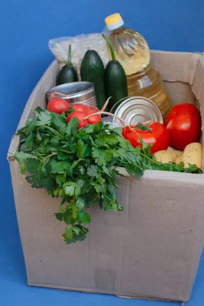 Mixed perishable groceries including fresh produce, cooking oil, and canned food prepared for transport.