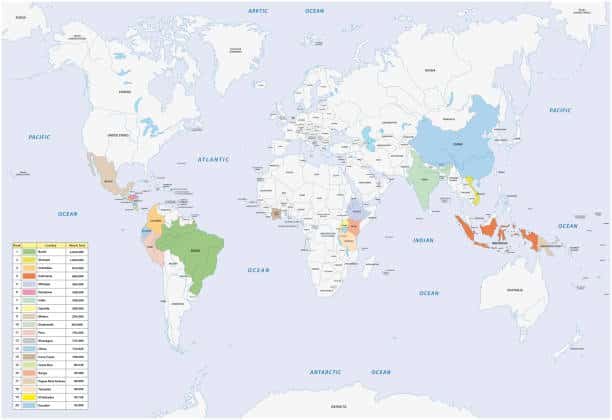 World map showing international trade routes with key export countries highlighted