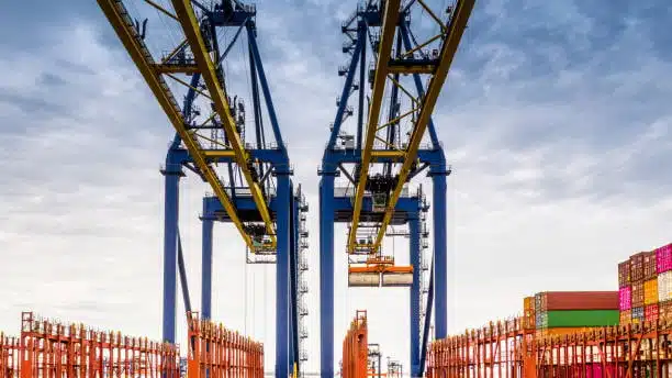 Port cranes and stacked containers under a clear sky at international terminal