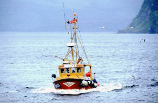 Small boat navigating toward shipping zone under coastal transport conditions