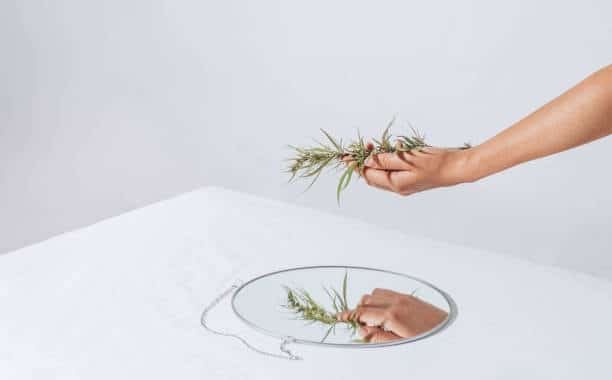 Hand holding leafy herb over mirror reflection, symbolizing alternate meanings of THC